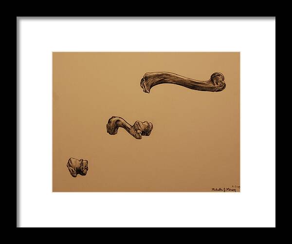 Bone Framed Print featuring the drawing Growing Bone by Michelle Miron-Rebbe