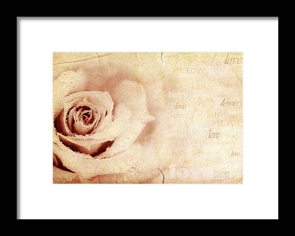 Anniversary Framed Print featuring the photograph Grungy rose background by Anna Om