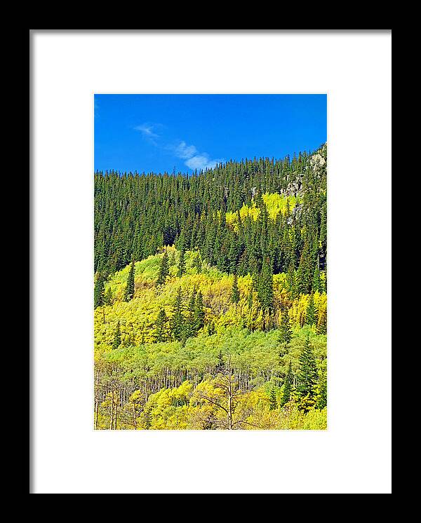 Guanella Pass Framed Print featuring the photograph Guanella Pass Study 2 by Robert Meyers-Lussier