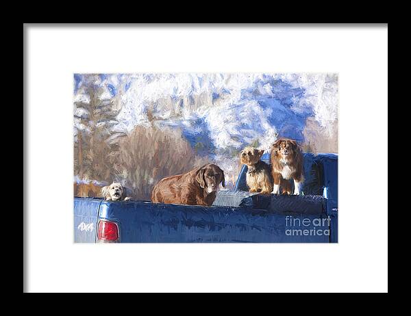 Animals Framed Print featuring the photograph Guardians of the Truck #1. Ridgeway, Colorado by George Robinson