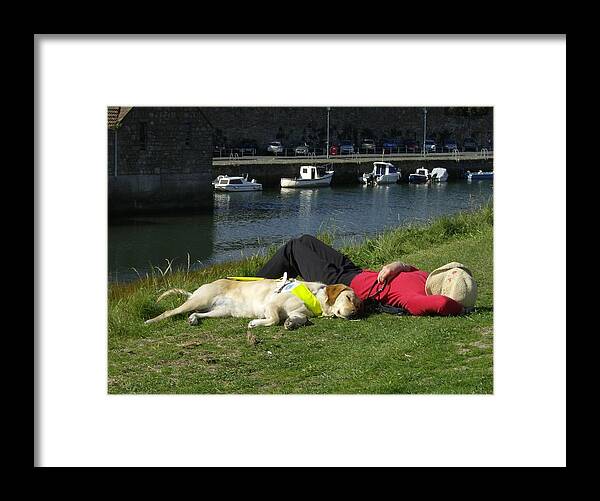 Guide Dog Framed Print featuring the photograph Guide Dog Relaxing by Adrian Wale