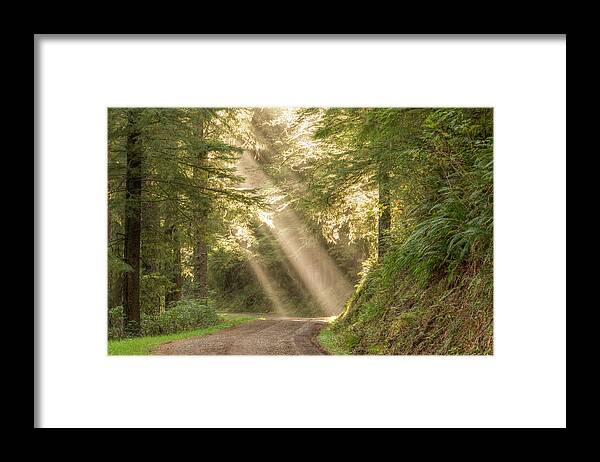 Cascade Head Framed Print featuring the photograph Guiding Light by Kristina Rinell