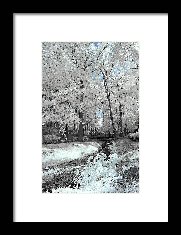 Ir Framed Print featuring the photograph Guignard Park by Charles Hite