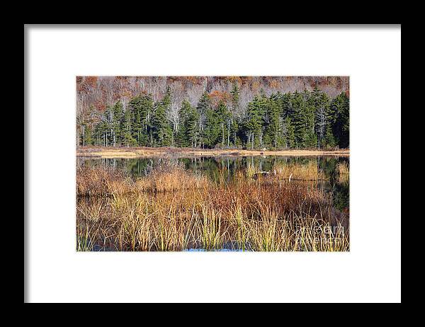 Pond Framed Print featuring the photograph Guinea Pond - Sandwich New Hampshire USA by Erin Paul Donovan