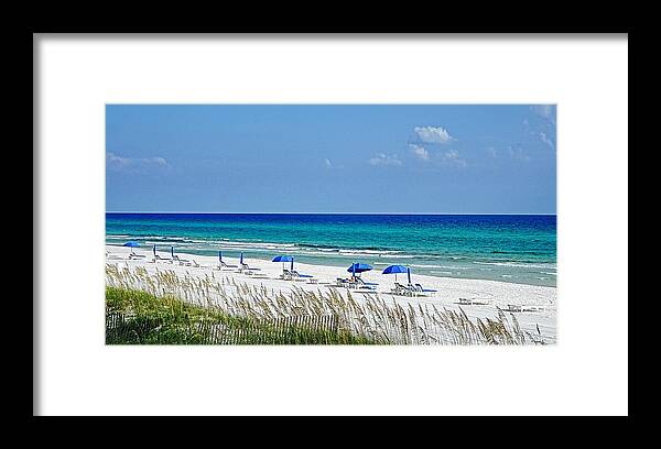 Beach Framed Print featuring the photograph Gulf Coast by Paul Wilford