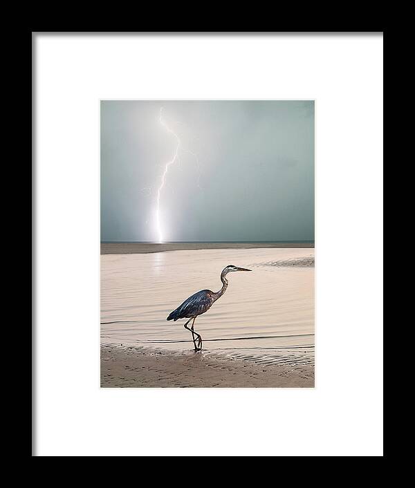 Lightning Framed Print featuring the photograph Gulf Port Storm by Scott Cordell