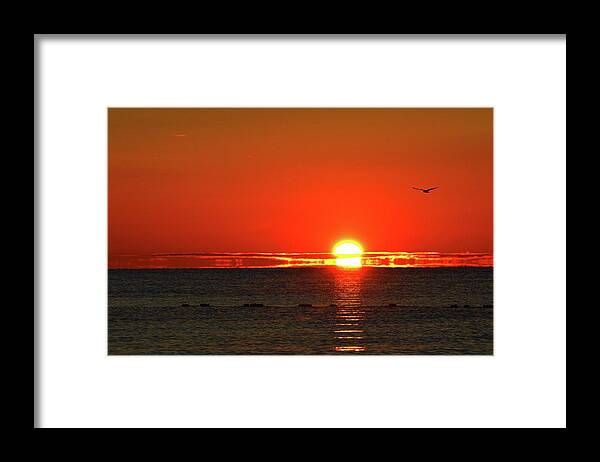 Abstract Framed Print featuring the digital art Gull At Sunrise Two by Lyle Crump