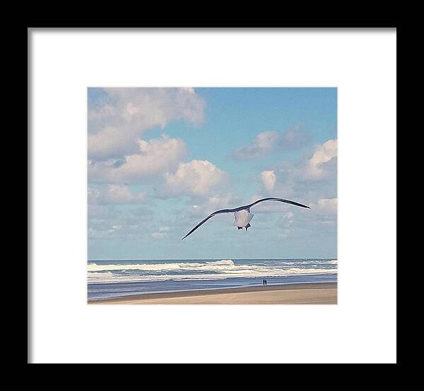Seagulls Framed Print featuring the photograph Gull Getaway by Suzy Piatt