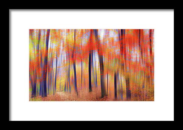 Forest Framed Print featuring the photograph A Luminous Landscape by Jessica Jenney