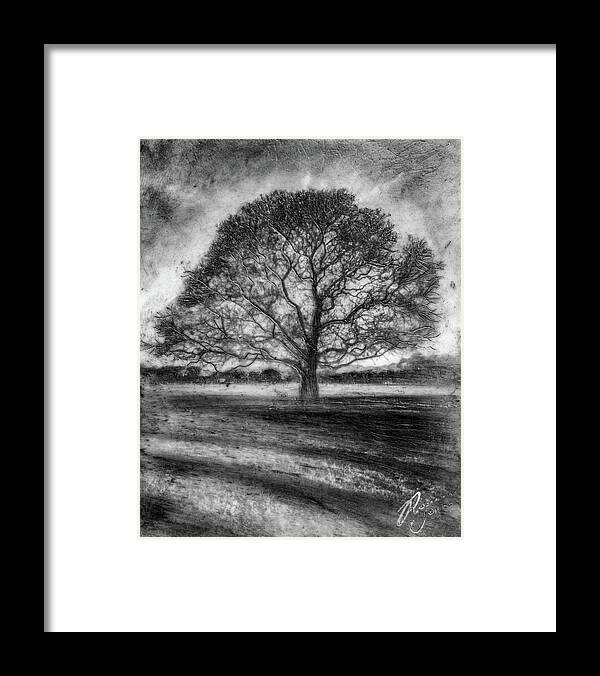 Trees Framed Print featuring the mixed media Hagley Tree 2 by Roseanne Jones