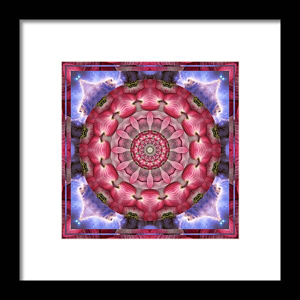 Yoga Art Framed Print featuring the photograph Halcyon by Bell And Todd