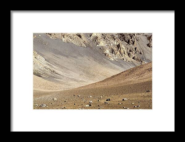 Crater Framed Print featuring the painting Haleakala Crater Floor by Peter J Sucy