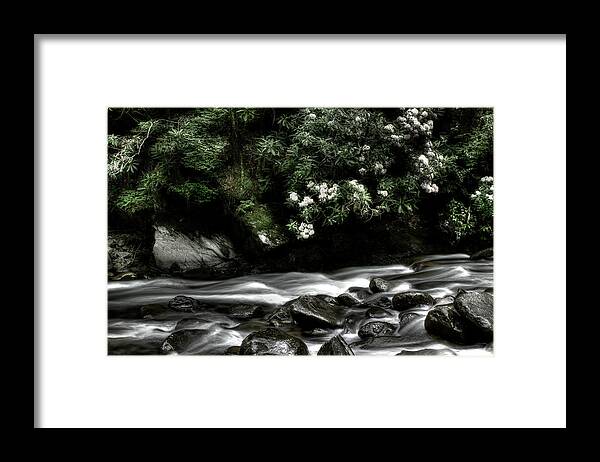 Quiet River Scene Framed Print featuring the photograph Half And Half by Mike Eingle
