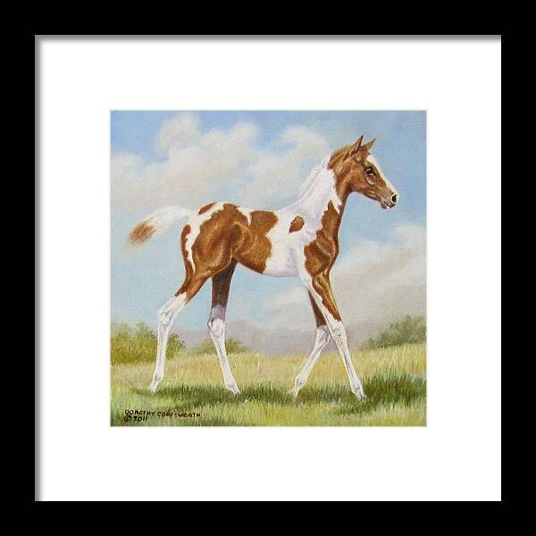 Horse Framed Print featuring the painting Half Arabian Pinto Filly by Dorothy Coatsworth