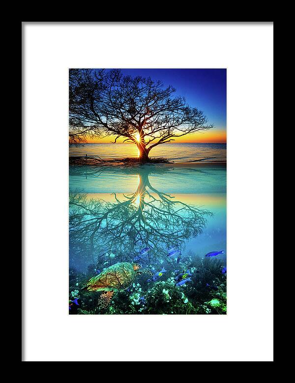 Clouds Framed Print featuring the photograph Half In Half Out by Debra and Dave Vanderlaan
