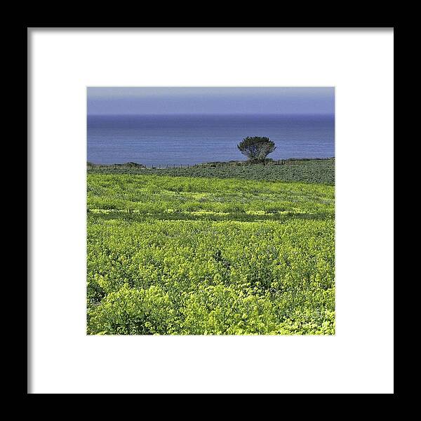 Landscape Framed Print featuring the photograph Half Moon Bay by Joyce Creswell