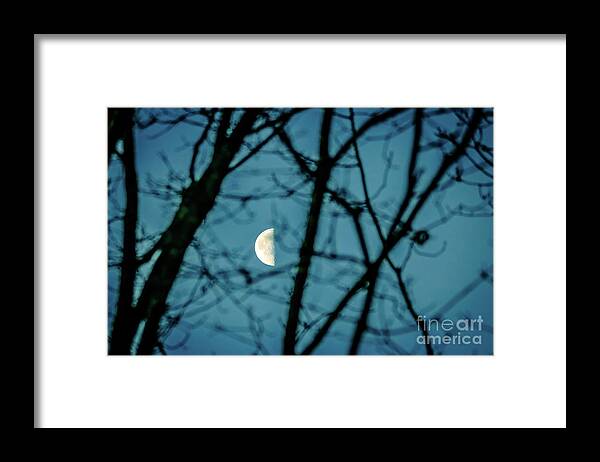Moon Framed Print featuring the photograph Half moon by Claudia M Photography