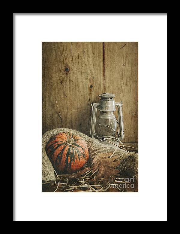 Life Framed Print featuring the photograph Halloween Compositin by Jelena Jovanovic