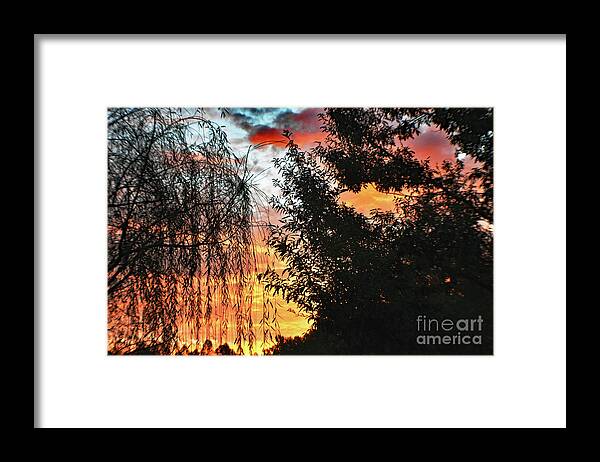 Nature Framed Print featuring the photograph Halloween Sunrise 2015 by DB Hayes