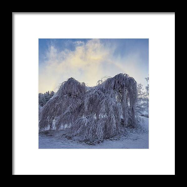 Finland Framed Print featuring the photograph Halo over Arboretum by Jouko Lehto
