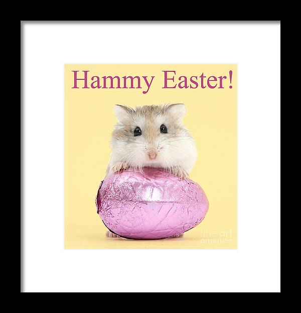 Roborovski Hamster Framed Print featuring the photograph Hammy Easter by Warren Photographic