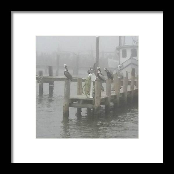  Framed Print featuring the photograph Hangin' With Boys by Barbie Reno