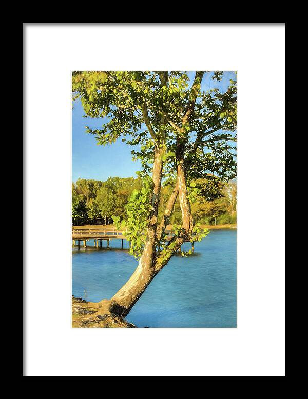 Tree Framed Print featuring the photograph Hanging On - Lakeside Landscape by Barry Jones