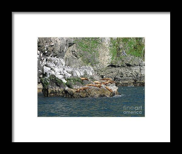Landscape Framed Print featuring the photograph Hanging Out in Alaska by Anthony Trillo