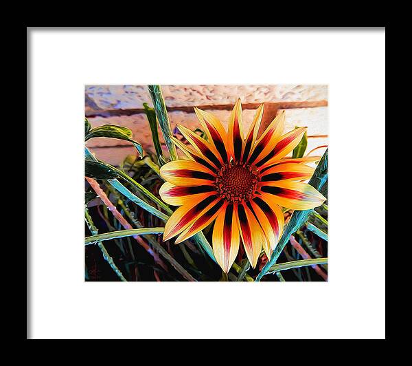 Flowers Framed Print featuring the photograph Happy Amongst The Weeds by Pennie McCracken