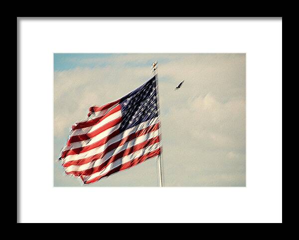 Photography Framed Print featuring the photograph Happy Birthday AMERICA by Susanne Van Hulst