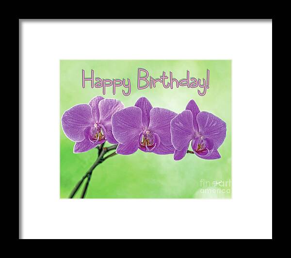Happy Birthday Pink Orchids Framed Print featuring the photograph Happy Birthday Pink Orchids by Alana Ranney