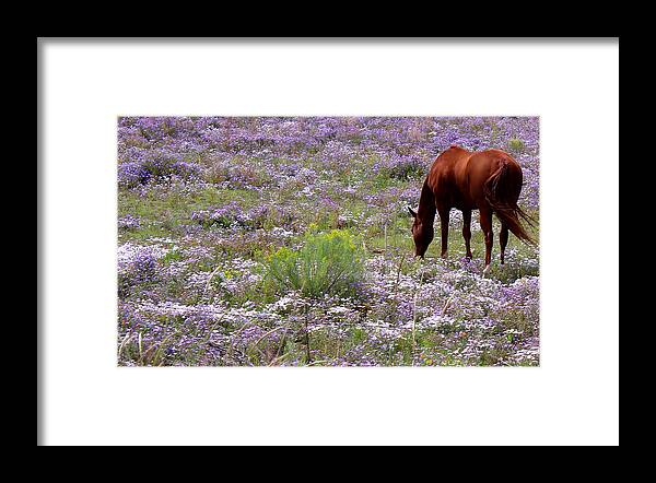 Happy Day Framed Print featuring the photograph Happy Day by Kume Bryant