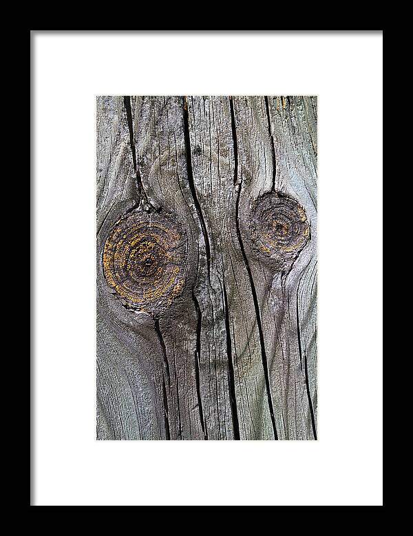 Wood Framed Print featuring the photograph Happy Face by Mary Bedy