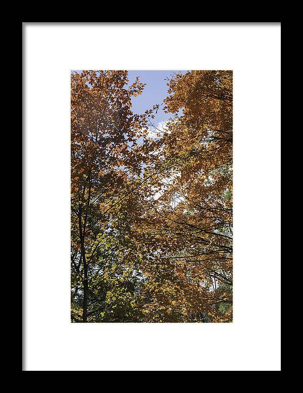 Happy Fall Y'all Framed Print featuring the photograph Happy Fall Yall by Teresa Mucha