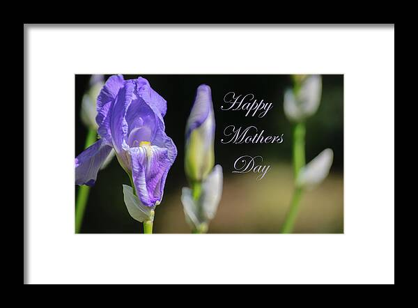 Happy Mothers Day Framed Print featuring the photograph Happy Mothers Day by Tikvah's Hope