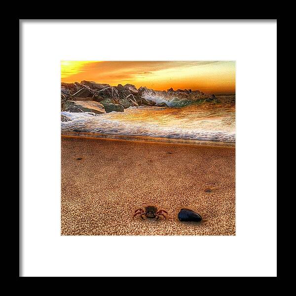 Sunset Framed Print featuring the photograph Crabby by Lauren Fitzpatrick