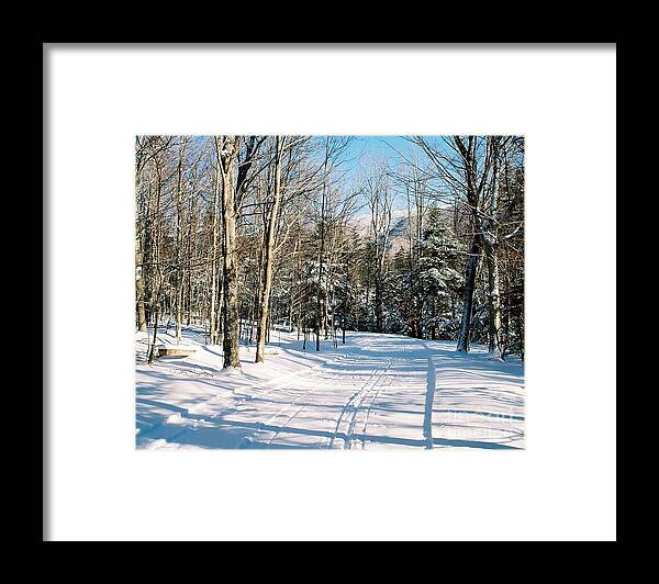 Winter Framed Print featuring the photograph Happy Trails by Phil Spitze