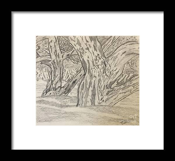 Landscape Framed Print featuring the drawing Hardwoods by Thomas Janos