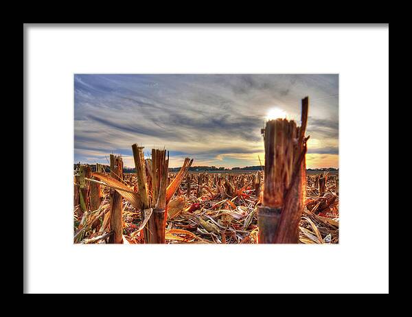Corn Stubble Farm Farming Sunset Cirrus Clouds Sky Landscape Horizontal Rural Framed Print featuring the photograph Harvest Done by Peter Herman