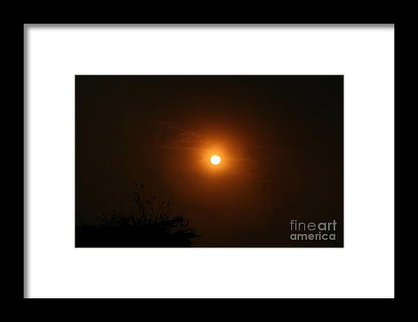 Moon Framed Print featuring the photograph Harvest Moon by Cynthia Marcopulos