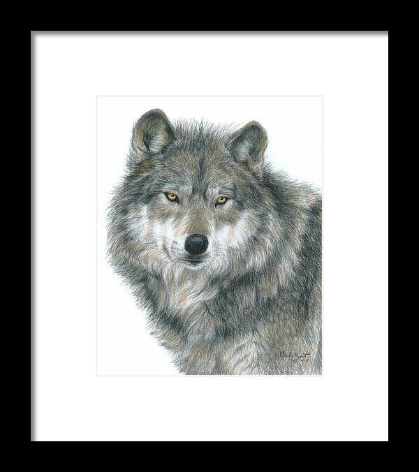 Wolf Framed Print featuring the drawing Haunting Eyes by Carla Kurt