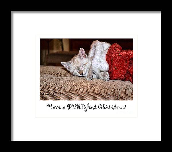 Christmas Framed Print featuring the photograph Have a Purrfect Christmas by Traci Cottingham