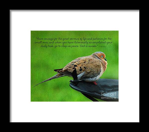 Diane Berry Framed Print featuring the painting Have Courage by Diane E Berry