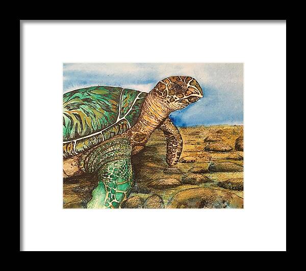 Hawkbilled Framed Print featuring the painting Hawkbilled Sea Turtle by Mastiff Studios