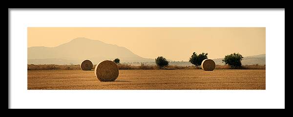 Agriculture Framed Print featuring the photograph Hay Rolls by Stelios Kleanthous