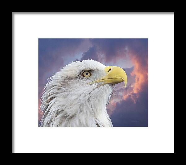 Animals Framed Print featuring the photograph Head in Clouds by Ernest Echols