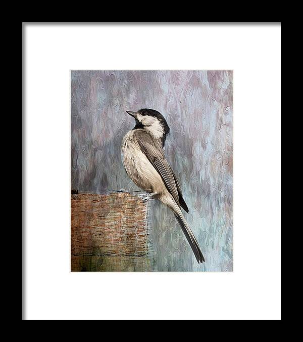 Chickadee Framed Print featuring the photograph Head Up, Shoulders Back by Cynthia Wolfe