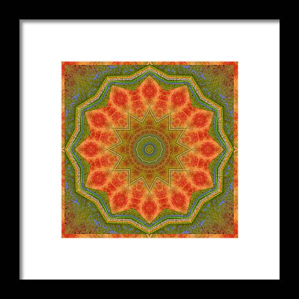  Framed Print featuring the photograph Healing Mandala 14 by Bell And Todd