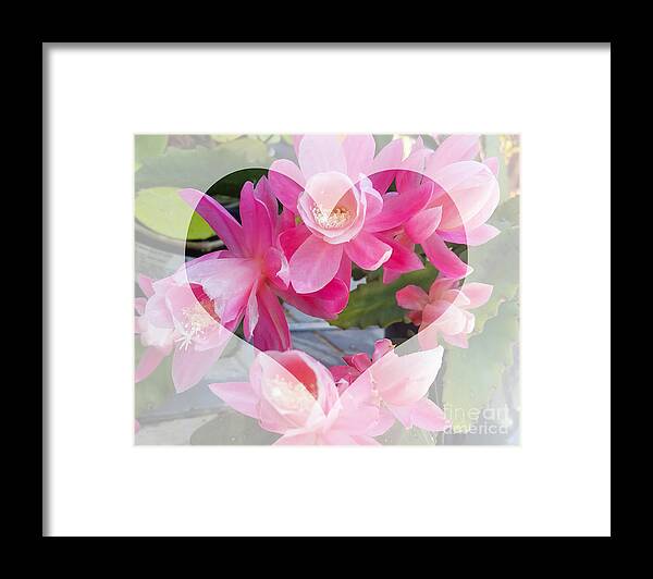 Hao Aiken Framed Print featuring the photograph HEART AGLOW SERIES NO.9 - Epiphyllum by Hao Aiken