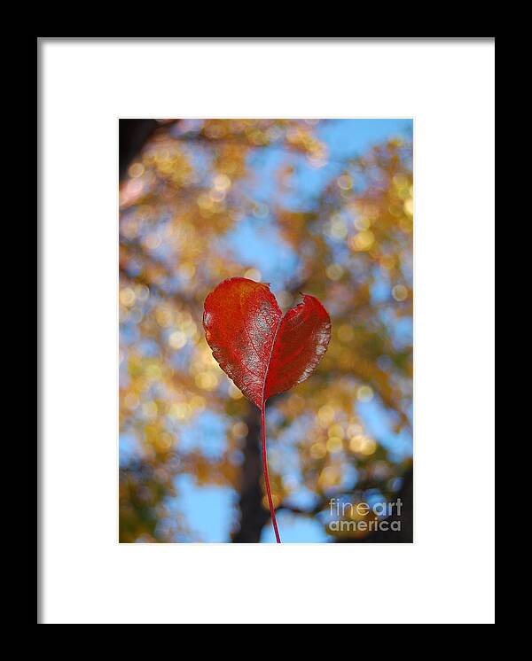 Heart Framed Print featuring the photograph Heart Amongst Tree Top by Debra Thompson